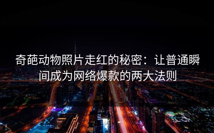 奇葩动物照片走红的秘密：让普通瞬间成为网络爆款的两大法则